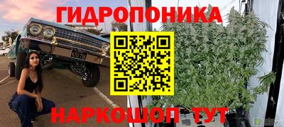 крисы Ликино-Дулёво