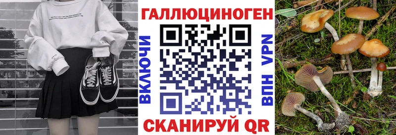 Галлюциногенные грибы мицелий  Дзержинский 