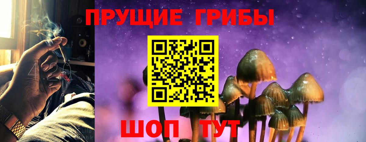 Галлюциногенные грибы Psilocybe Дзержинский
