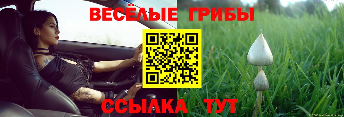 Дзержинский  Галлюциногенные грибы GOLDEN TEACHER  наркота  Вход с VPN 